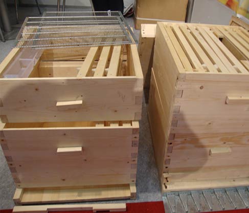 beekeeping equipment tools wholesale suppliers India,beehive distributors Delhi,bee keeping equipments dealers Dubai,bee hive manufacturers & suppliers India